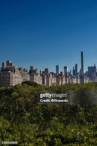 panoramic image of new york city from central park - above central park stockfoto's en -beelden