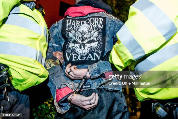 An Extinction Rebellion environmental activist from Animal Rights partner group 'Animal Rebellion' is arrested as protesters shut down the main...
