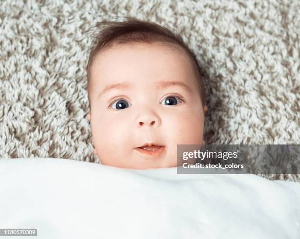 Hiding Under Carpet Photos and Premium High Res Pictures - Getty Images