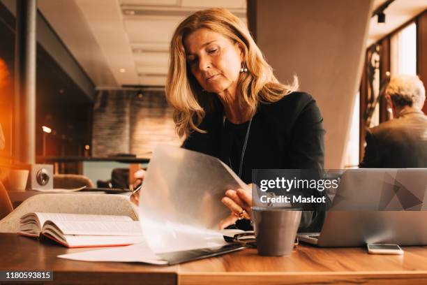 female lawyer reading documents and using laptop while sitting at cafeteria in law office - lawyer computer stock pictures, royalty-free photos & images