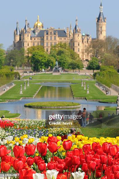 tulips and schwerin (germany) - schwerin schloss bildbanksfoton och bilder