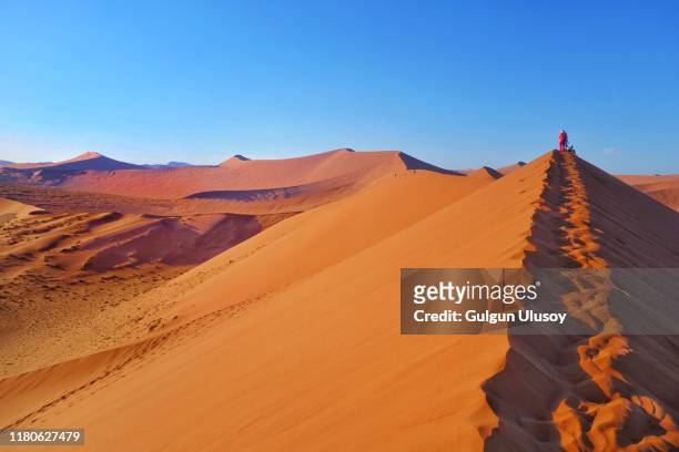 sand dunes of namibian desert, dune 45 - sossusvlei 個照片及圖片檔