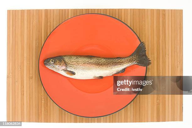 brook trout - brook trout stock pictures, royalty-free photos & images