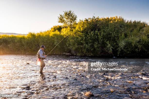 euro nymphing fisherman - reno stock pictures, royalty-free photos & images