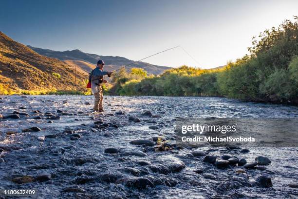 pescatore ninfa euro - fly fishing foto e immagini stock