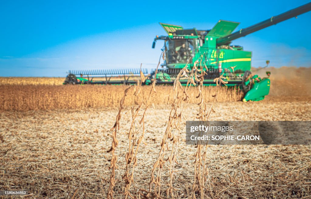 Soy and threshing