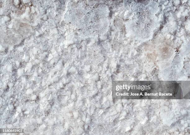 529 Salt Rock Texture Stock Photos, High-Res Pictures, and Images ...