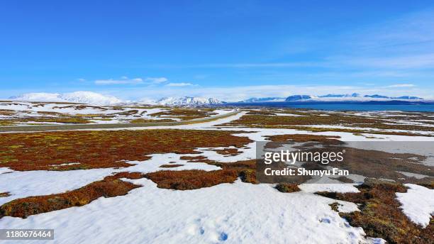 paysage d'islande - toundra photos et images de collection