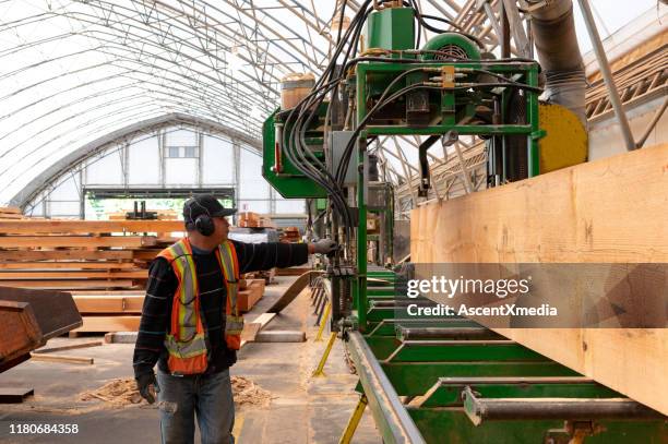 industrial timber manufacturing facility - logging mill stock pictures, royalty-free photos & images