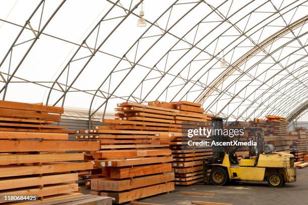 pile of kiln dried timber - depósito de madeiras imagens e fotografias de stock