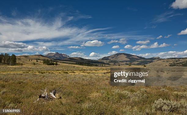 sommer-landschaft mit dramatischer himmel - wyoming stock-fotos und bilder