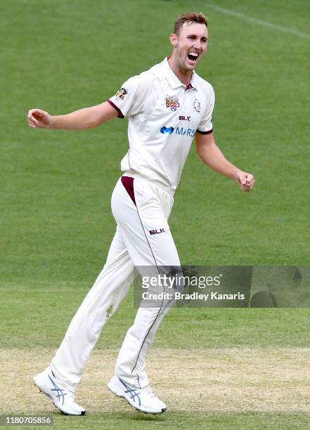Billy Stanlake of Queensland celebrates taking the wicket of Nick Bertus of New South Wales during day four of the Sheffield Shield match between...