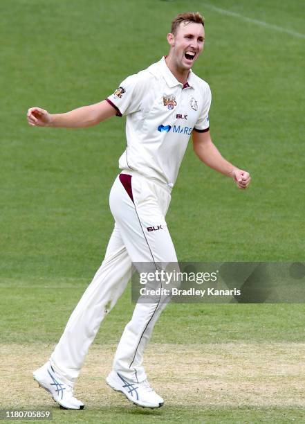 Billy Stanlake of Queensland celebrates taking the wicket of Nick Bertus of New South Wales during day four of the Sheffield Shield match between...
