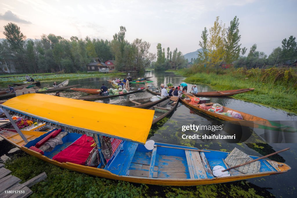 Morning view of traditional floating market at Dal Lake of Kashmir, India.