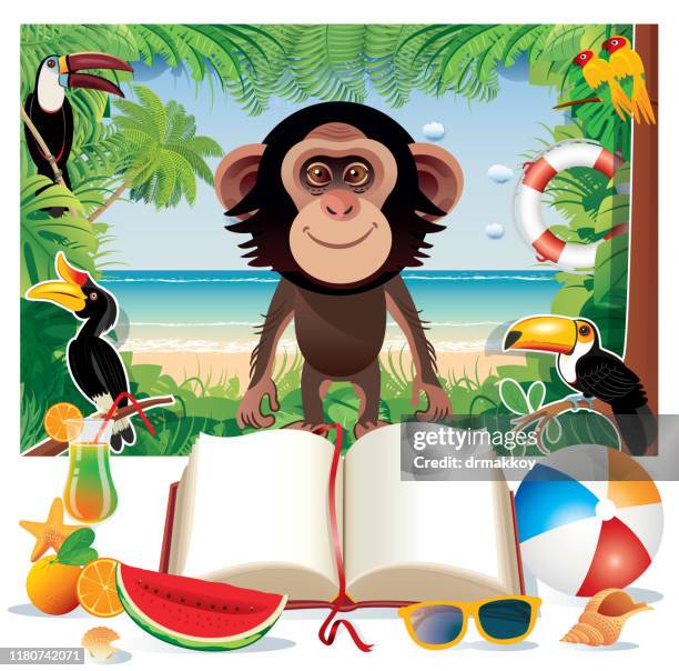 capuchin monkey - capuchin monkey stock illustrations