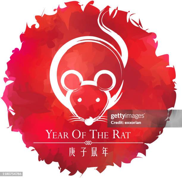 paint brushing year of the rat art - rat year stock illustrations