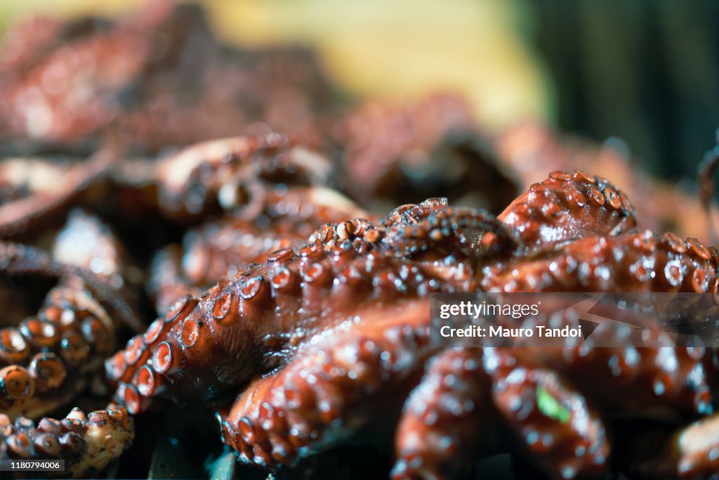 Grilled octopus