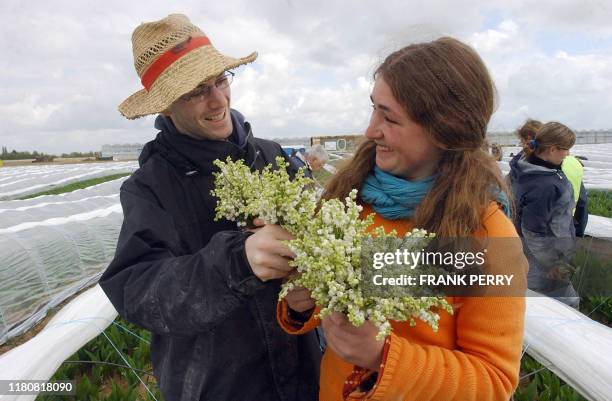 Des personnes cueillent des brins de muguet, le 24 avril 2005, dans une exploitation maraïchère de Machecoul avant le 1er mai. AFP PHOTO FRANK PERRY.