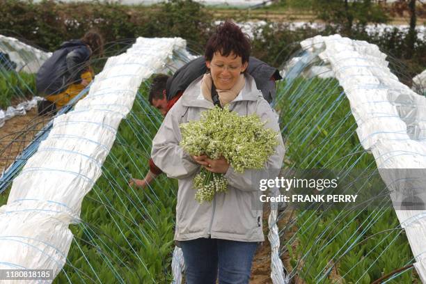 Des personnes cueillent des brins de muguet, le 24 avril 2005, dans une exploitation maraïchère de Machecoul avant le 1er mai. AFP PHOTO FRANK PERRY.