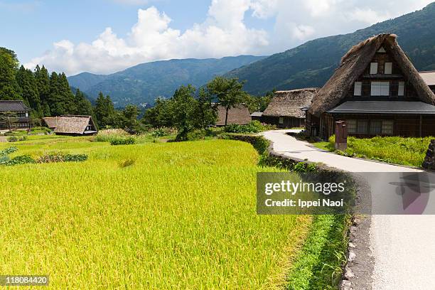 rural mountain village with rice fields in japan - toyama prefecture stock pictures, royalty-free photos & images