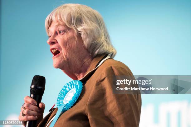 Ann Widdecombe, MEP for the South West England for the Brexit Party, speaks during the Brexit Party general election campaign tour at the...