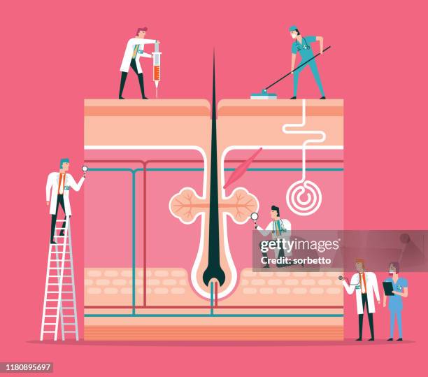 ilustraciones, imágenes clip art, dibujos animados e iconos de stock de piel - erector del pelo