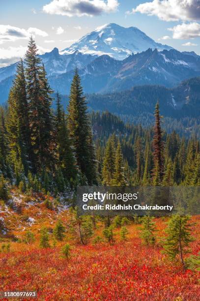Mount Rainer Fall 363 Mount Rainier National Park Fall Stock Photos, High-Res Pictures ...