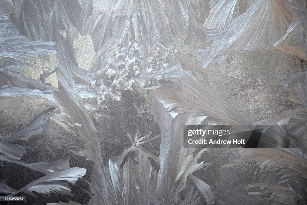Jack Frost ice crystals on a window