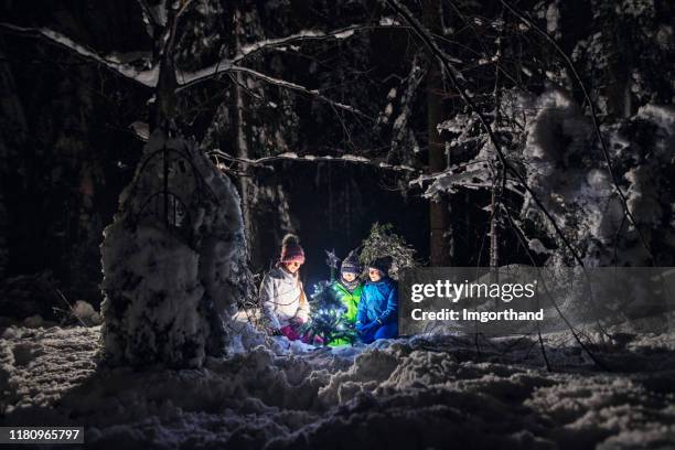 kinderen versieren kerstboom buitenshuis - kerstboom versieren stockfoto's en -beelden