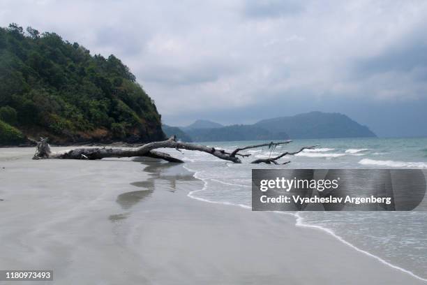 the eternity and infinity of tarutao island, thailand - cambrian stock-fotos und bilder