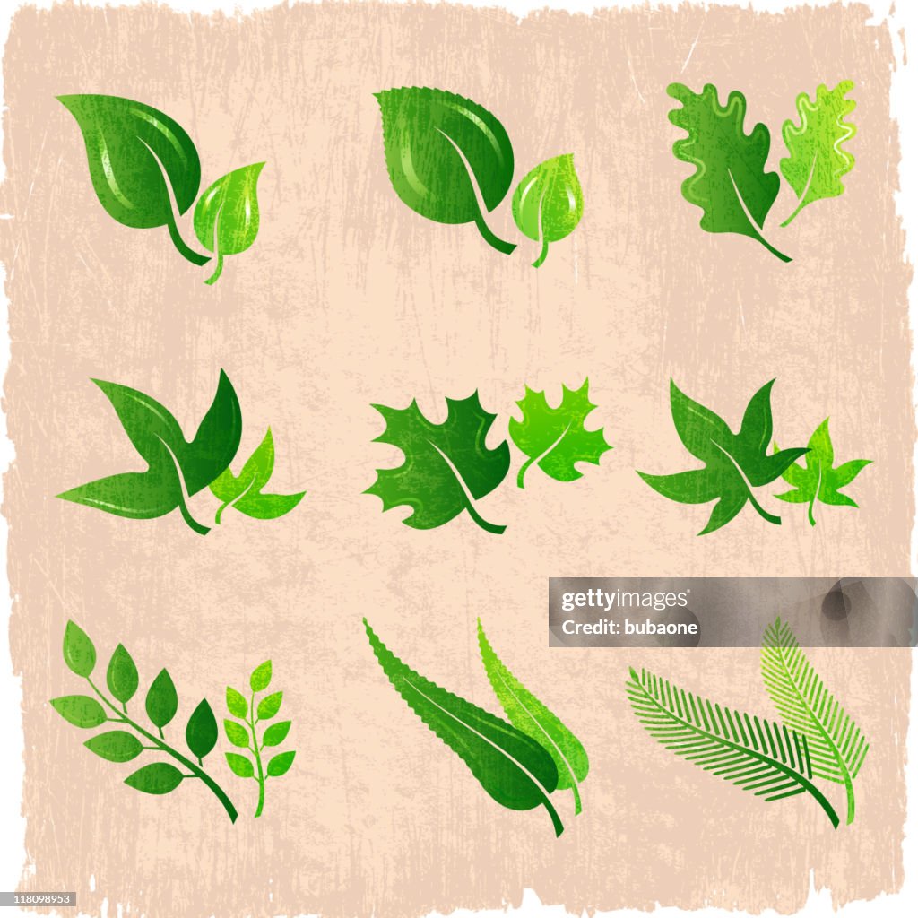 Green leaves designs on royalty free vector Background