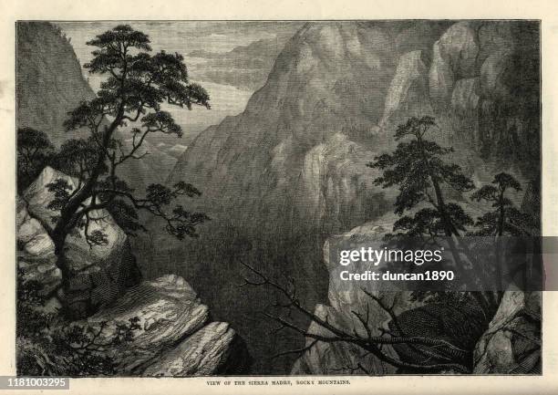 view of the sierra madre, rocky mountains, 19th century - madre stock illustrations