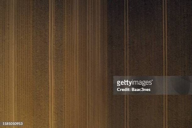 potato field seen from above - abstract line art - gepflügtes feld stock-fotos und bilder
