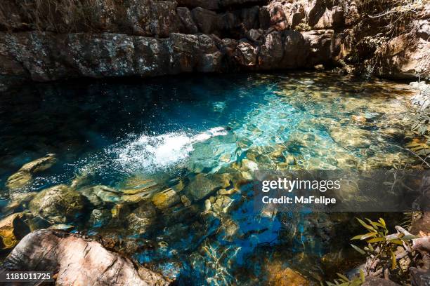 mädchen schwimmen unter wasser auf einem natürlichen pool auf einem fluss in chapada dos veadeiros, goias, brasilien - chapada dos veadeiros stock-fotos und bilder