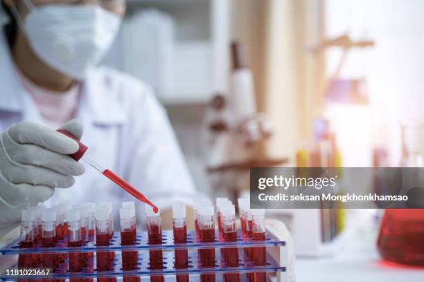 laboratory assistant analyzing a blood sample - blood test stock pictures, royalty-free photos & images