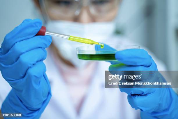 scientist carefully carrying matured cell to another plate, conducting research - petri dish stock-fotos und bilder