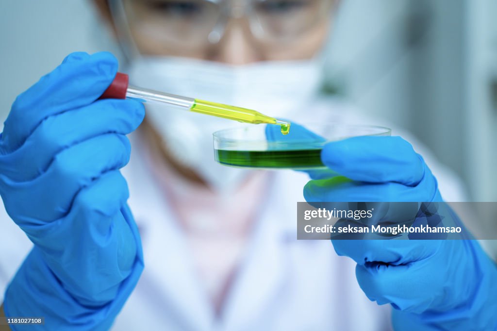 Scientist carefully carrying matured cell to another plate, conducting research
