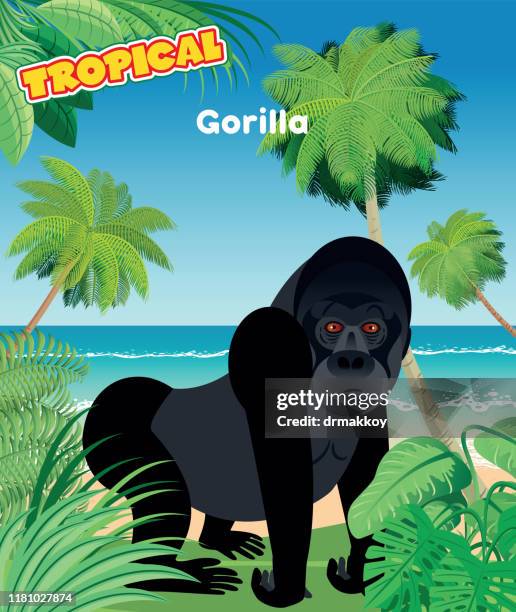 gorilla and beach - gorilla face stock illustrations