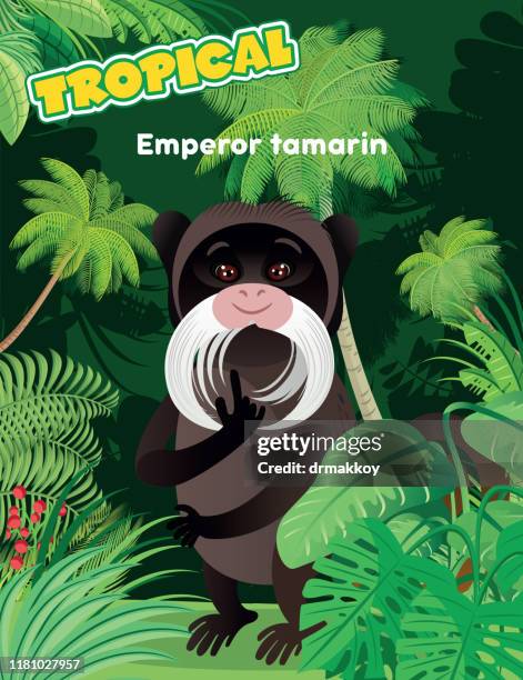 emperor tamarin - amazon stock illustrations