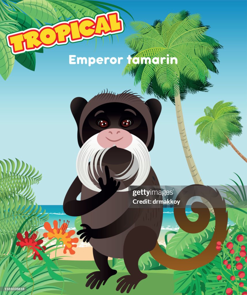 Emperor Tamarin