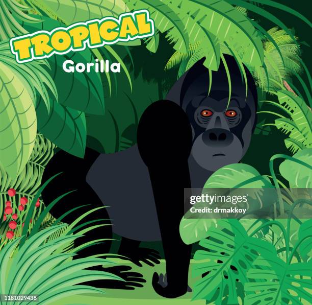 gorilla - mountain gorilla stock illustrations