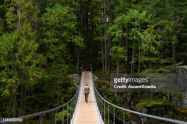 man hiking across a suspension bridge to the forest - whistler bc stock pictures, royalty-free photos & images