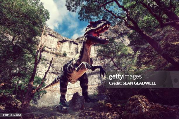 tyrannosaurus rex or t rex dinosaur in woods - tyrannosaurus rex stock pictures, royalty-free photos & images