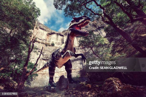 tyrannosaurus rex or t rex dinosaur in woods - dinosaur stock pictures, royalty-free photos & images