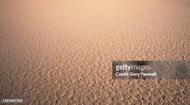 cracked mud desert floor formations - sand textured textured effect stock pictures, royalty-free photos & images