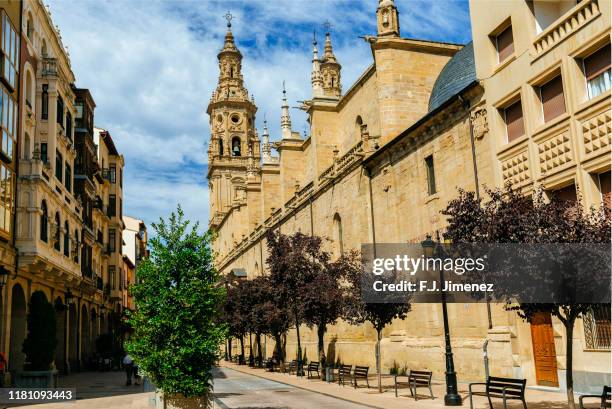 logroño landscape with the cathedral - logrono stock pictures, royalty-free photos & images