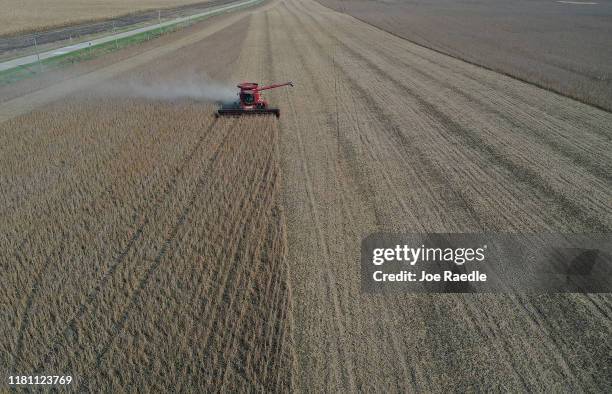 An aerial view from a drone shows a combine being used to harvest the soybeans in a field at the Bardole & Son's Ltd farm on October 14, 2019 in...
