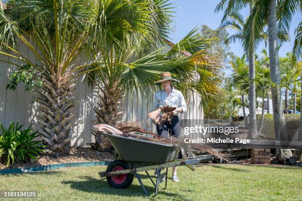 empowering women - queensland farm stock pictures, royalty-free photos & images