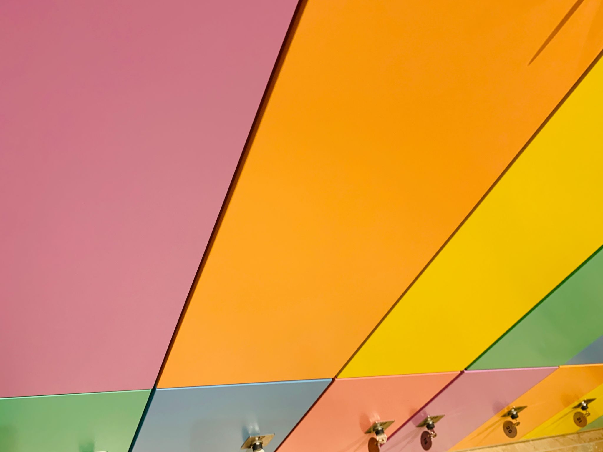 techo color