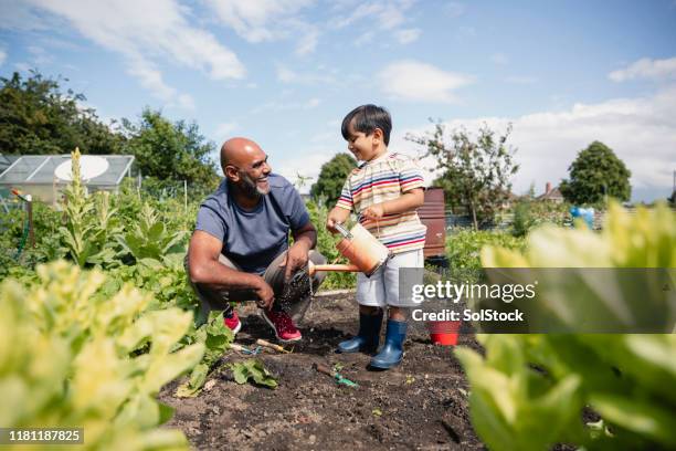 sharing a smile with grandad - community garden family stock pictures, royalty-free photos & images
